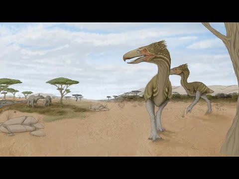 Accurate Terror Bird Sounds