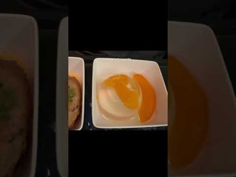 Singapore Airlines | Vegetarian Oriental Meal | सिंगापुर एयरलाइंस | #youtubeshorts  #shorts