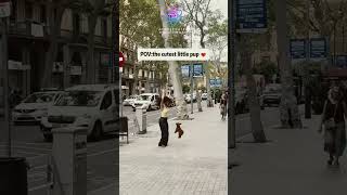 Theta Brain Wave Therapy - Watch These Adorable Dogs Have the Best Day!