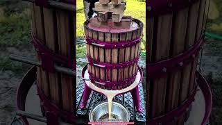 Manual Apple Press Machine – 20L Fruit Processing Machine for Natural Cider and Juice Extraction