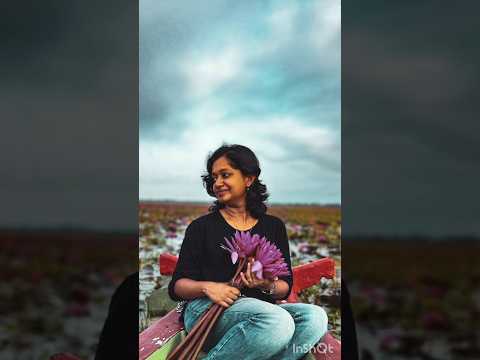 Boat ride @Malarikkal I Kerala diaries