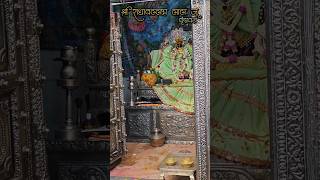 Radhavallabh mere | Vrindavan #shorts #radhavallabh #radhavallabhmandir #radhavallabhji #vrindavan