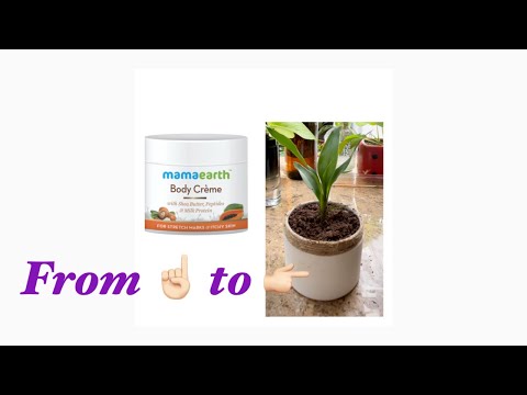 Recycling plastic bottle into indoor plant pot ||Craft ideas