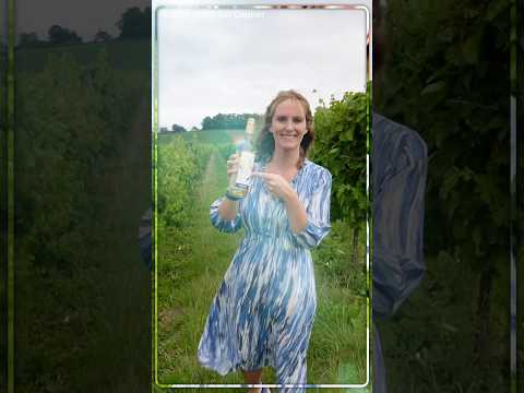 A visit to England’s largest vineyard