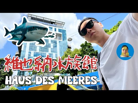 「開箱維也納水族館🇦🇹」歐洲水族館初體驗！｜Vienna’s largest aquarium