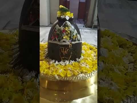 #vishkarmapuja #bholenath #vishnu #gowardhan #gowardhanpooja #diwali #harharmahadeva