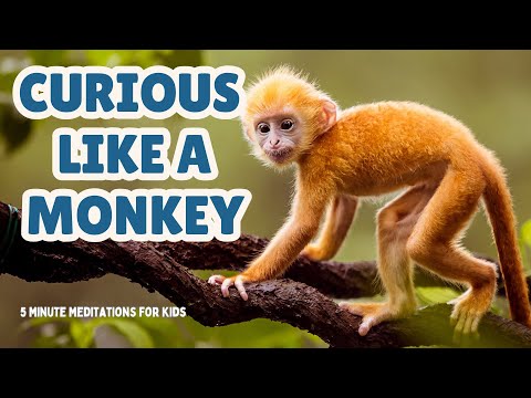 Curious Like a Monkey | 5 Minute Guided Meditation for Kids | Mindfulness for Kids