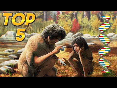 2023’s Human Ancestry Revelations | Top 5 Discoveries