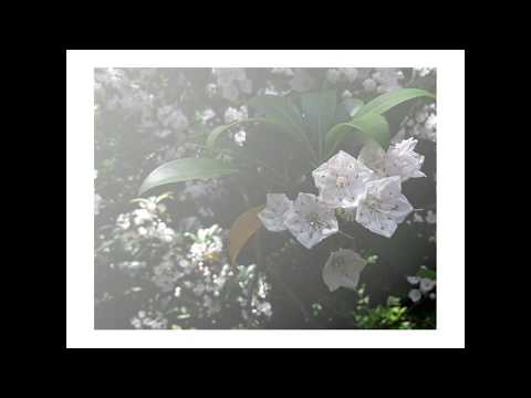 Procrastination Sounds Part 3 - Spring Time Funk