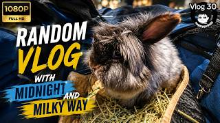 Random Vlog with Midnight and Milky Way [Vlog 30]