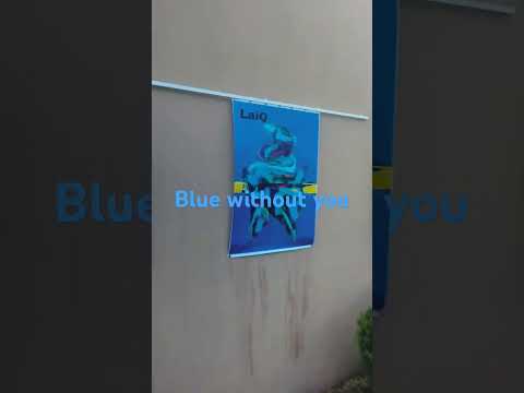 Canyon Road Blues #singing  #cover