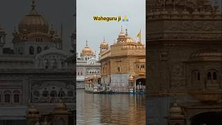 Shree darbaar shaib...🙏💞🙂#goldentemple #amritsar #trending #reels #viralvideo #youtubeshorts #,