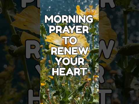 Morning Prayer to Renew Your Heart #gospelofhope  #powerfulprayer #morningprayer