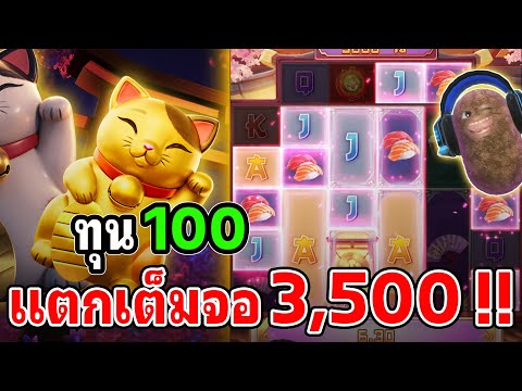 Lucky Neko : สล็อตPG สล็อตลัคกี้เนโกะ สล็อตทุนน้อย แตกลั่นเต็มจอ !!