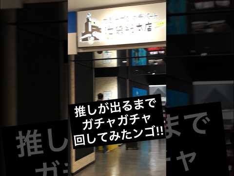 【ポケモンガチャガチャ】推しが出るまで回してみた結果！？1回500円！！出るのか！？‪#ポケモン ‪#ガチャガチャ ‪#pokemon