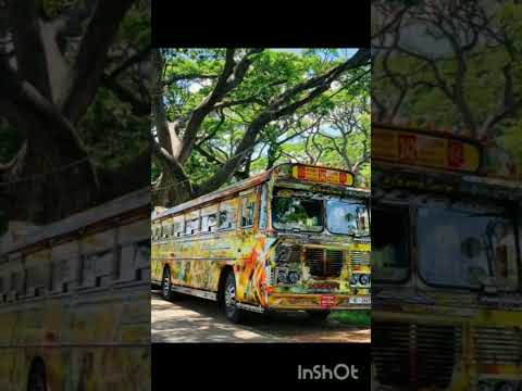 ඉන්දුල Travel මීගමුව @LNRBUSKINGDOM-dl9ql #bus