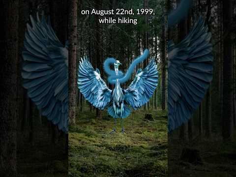 The Lodi Blue Thing | Bicycle, Bird, Bigfoot? | Weird Encounters #paranormal #funfacts #scary