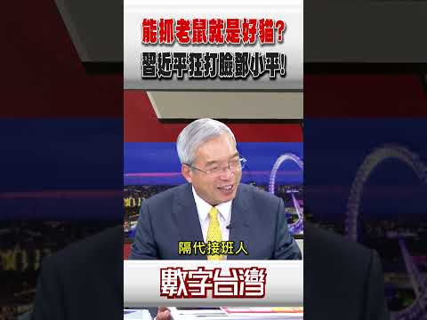 #數字台灣 能抓老鼠就是好貓？習近平狂打臉鄧小平！