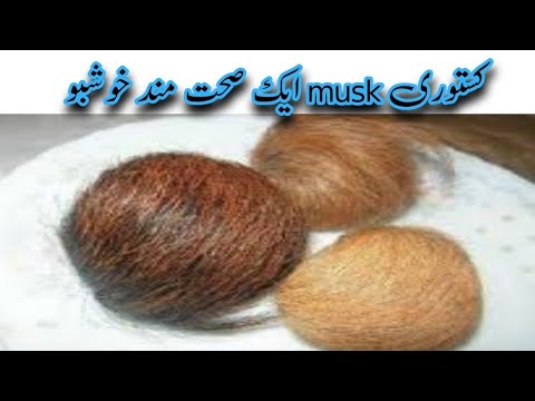 کستوری musk ایک صحت مند خوشبو || Health Tips Home