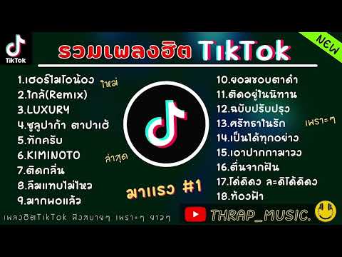 รวมเพลงtiktok ใหม่ๆ #มาแรง #ร้านกาแฟ #ชิวๆ #ไม่มีโฆษณา