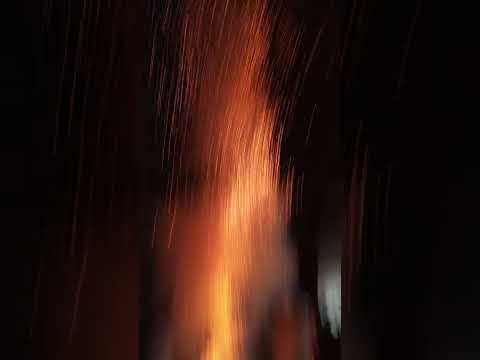 GOLDEN RAIN FROM SONY FIREWORKS 🔥 #skyshot #shorts #trending #crackerguru