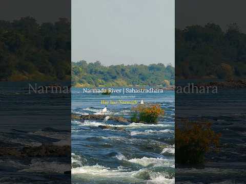 Narmada Sahastradhara 🌊 | Maheshwar | Har har Narmade 🙏🏻 #shortsfeed #narmada #madhyapradesh
