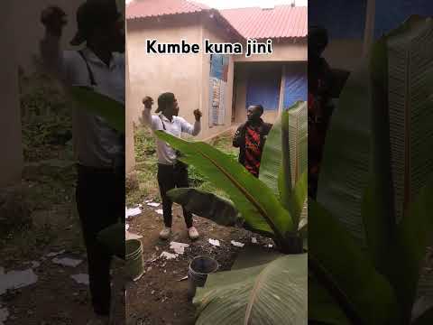 🤣🤣🤣🤣📽️ila alostar 😂😂😂 kumbe Kuna jini