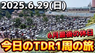 【速報】6月最後の休日で若干混雑⁉️今日のディズニーリゾート一周の旅【2025.6.29】