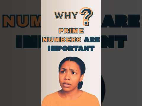 Did You Know? PRIME NUMBERS are the Building Blocks of Arithmetic
