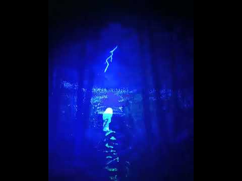 At the mine claim "I see you" *don't own the rights to this music*