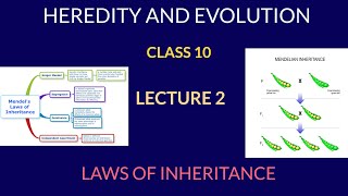 Heredity and Evolution,Lecture-2, Class-10                    #heredity#lect_2#class_10#bio