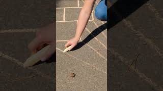 Endless Fun with Sidewalk Chalk Art | Outdoor Creativity for Kids🎴 #fun #activityforkids