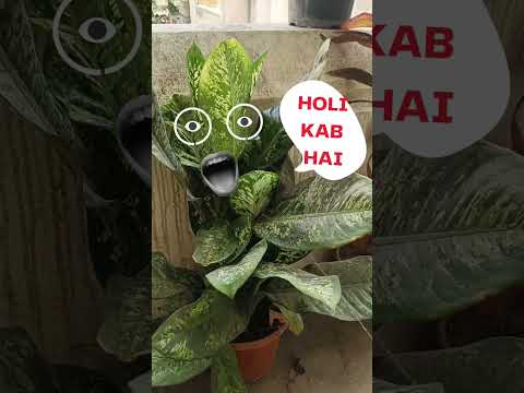 HOLI KAB HAI 2023 | Holi Gabbar #shots #youtubeshorts #holi #holikabhai