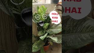 HOLI KAB HAI 2023 | Holi Gabbar #shots #youtubeshorts #holi #holikabhai