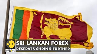 Trouble continues for Sri Lanka's finance sector as forex fall by 24% | Latest World English News