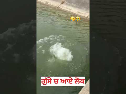 #punjabisong #news #punjabisong #youth #navanvspream