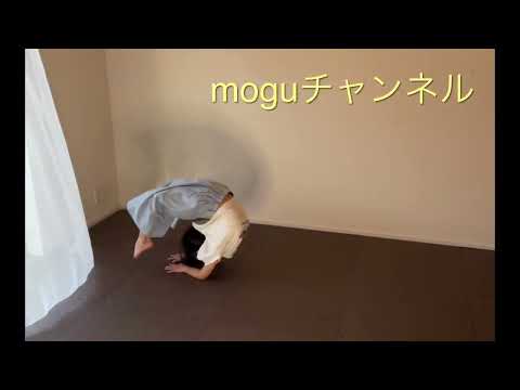 ［アクロバット］moguチャンネルのMOMO君、アクロバットにチャレンジ！！　#shorts