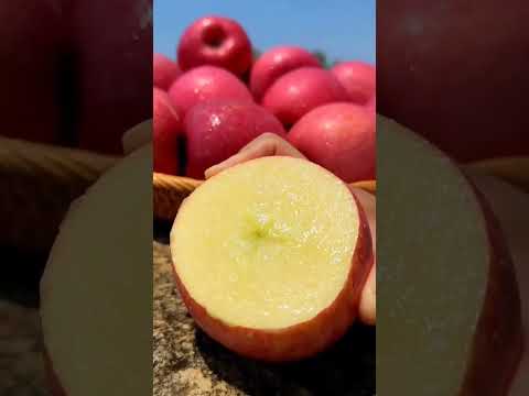 Fresh Ninja Fruit Farm | Chinese Tiktok | (Strangely Satisfying Fruit Ninja) #1