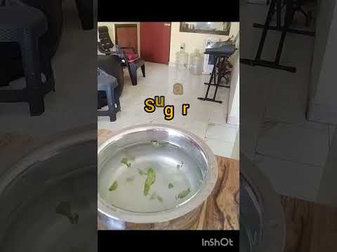 #lemonmintjuice#day6#summerdrink#refreshingdrink for more videos subscribe our channel 🔔