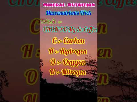 Mineral Nutrition|Macronutrients Trick #biologytricks #neettricks #biologyshorts #neetshortstatus