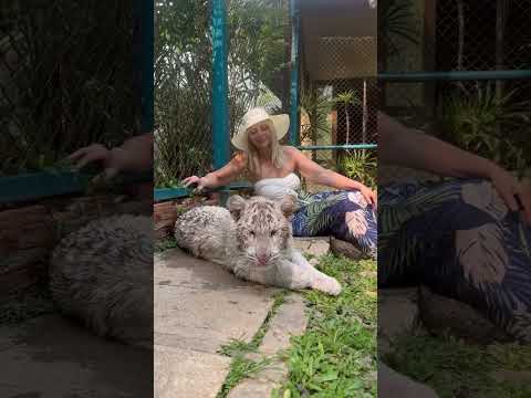 Once in a lifetime experiences in Thailand