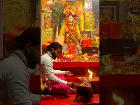 Icchapurti balaji hawan darshan || Saturday hawan darshan #icchapurtibalaji #hanuman #hawan #shorts