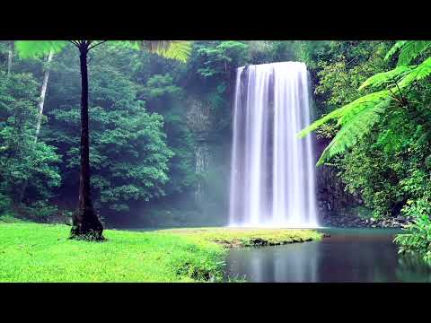 Relaxing and Calming Music Video – MI Soothing Relaxation