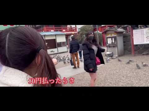 きみワンお出かけ動画in名古屋遠征編