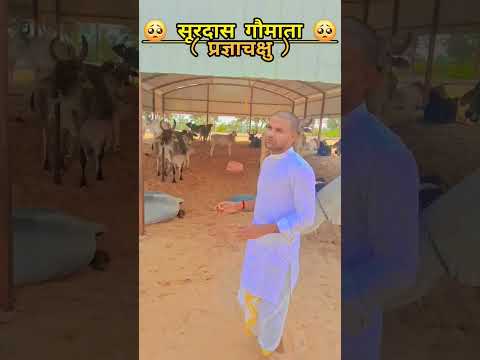 gaumata ki seva #shorts #gaumata #gauseva #sanatandharma #gaumata #rajasthan