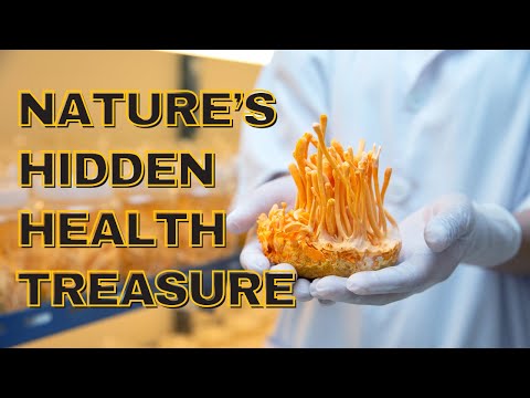 Cordyceps – Nature’s Hidden Health Treasure