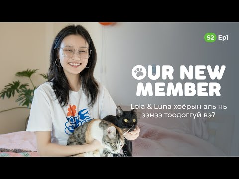 Our new member | S2 | Ep1 | Nominess and her cats, Lola & Luna