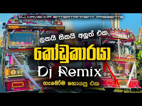 කෝඩුකාරයා DJ Remix | kodukaraya Dj remix | Bus DJ Remix 2025 |new dj remix |