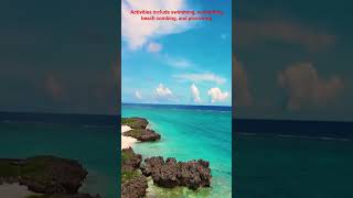 The Hidden Gem Island in Japan #terasaki #beach #japan #travel #yoron
