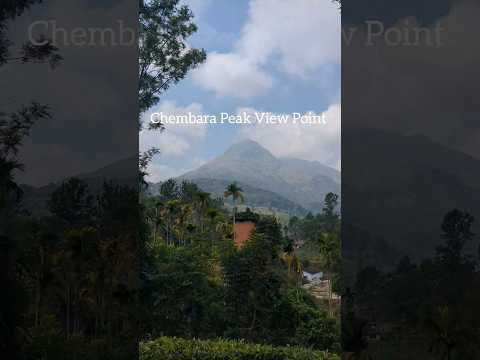 Wayanad Chembra Peak #shorts #youtubeshorts #travel #india #youtube #kerala  #vineethsreenivasan